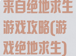 来自绝地求生游戏攻略(游戏绝地求生)