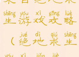 来自绝地求生游戏攻略(绝地求生游戏简介)