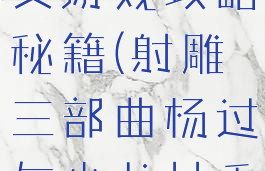 杨过与小龙女游戏攻略秘籍(射雕三部曲杨过与小龙女手游攻略)