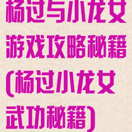 杨过与小龙女游戏攻略秘籍(杨过小龙女武功秘籍)