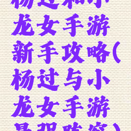 杨过和小龙女手游新手攻略(杨过与小龙女手游最强阵容)