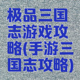极品三国志游戏攻略(手游三国志攻略)