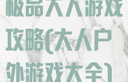 极品大人游戏攻略(大人户外游戏大全)