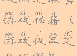 极品芝麻官游戏秘籍(游戏极品芝麻官攻略)