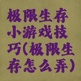 极限生存小游戏技巧(极限生存怎么弄)