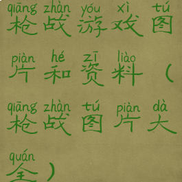 枪战游戏图片和资料(枪战图片大全)