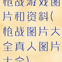 枪战游戏图片和资料(枪战图片大全真人图片大全)