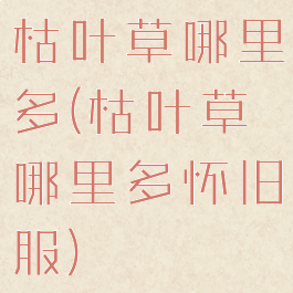 枯叶草哪里多(枯叶草哪里多怀旧服)