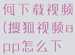 搜狐视频如何下载视频(搜狐视频app怎么下载视频)