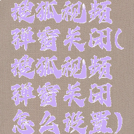 搜狐视频弹窗关闭(搜狐视频弹窗关闭怎么设置)