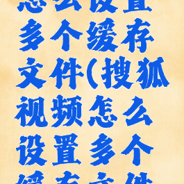 搜狐视频怎么设置多个缓存文件(搜狐视频怎么设置多个缓存文件夹)