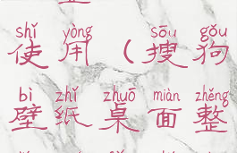 搜狗壁纸桌面整理无法使用(搜狗壁纸桌面整理无法使用怎么回事)