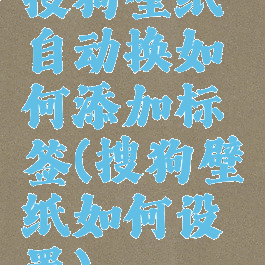 搜狗壁纸自动换如何添加标签(搜狗壁纸如何设置)