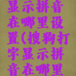 搜狗打字显示拼音在哪里设置(搜狗打字显示拼音在哪里设置出来)