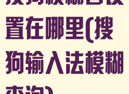 搜狗模糊音设置在哪里(搜狗输入法模糊查询)