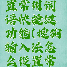 搜狗输入法怎么设置常用词语快捷键功能(搜狗输入法怎么设置常用词语快捷键功能)