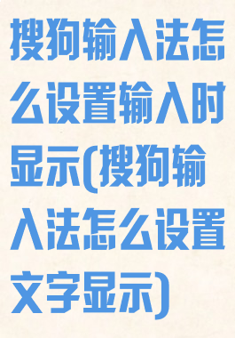 搜狗输入法怎么设置输入时显示(搜狗输入法怎么设置文字显示)