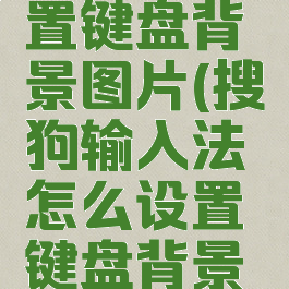 搜狗输入法怎么设置键盘背景图片(搜狗输入法怎么设置键盘背景图片不显示)