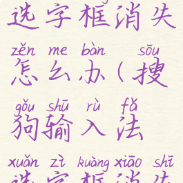 搜狗输入法选字框消失怎么办(搜狗输入法选字框消失怎么办啊)