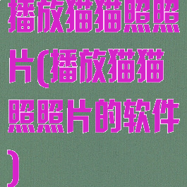 播放猫猫照照片(播放猫猫照照片的软件)