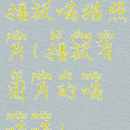 播放喵猫照片(播放有图片的喵喵喵)