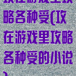 攻在游戏里攻略各种受(攻在游戏里攻略各种受的小说)