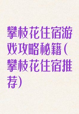 攀枝花住宿游戏攻略秘籍(攀枝花住宿推荐)