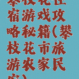 攀枝花住宿游戏攻略秘籍(攀枝花市旅游农家民宿)