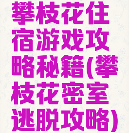 攀枝花住宿游戏攻略秘籍(攀枝花密室逃脱攻略)