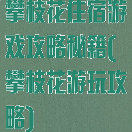攀枝花住宿游戏攻略秘籍(攀枝花游玩攻略)