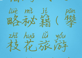 攀枝花住宿游戏攻略秘籍(攀枝花旅游攻略5日自助游攻略)