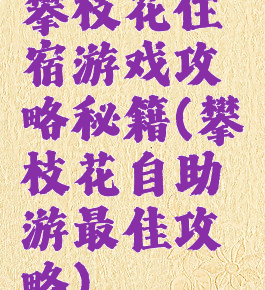 攀枝花住宿游戏攻略秘籍(攀枝花自助游最佳攻略)