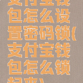 支付宝钱包怎么设置密码锁(支付宝钱包怎么锁起来)