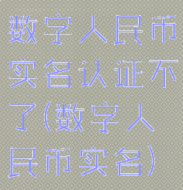 数字人民币实名认证不了(数字人民币实名)