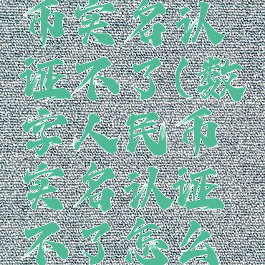 数字人民币实名认证不了(数字人民币实名认证不了怎么办)