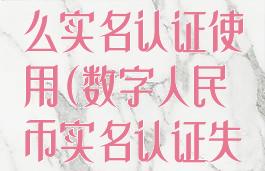 数字人民币怎么实名认证使用(数字人民币实名认证失败)