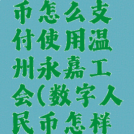 数字人民币怎么支付使用温州永嘉工会(数字人民币怎样支付处理)