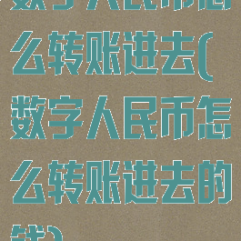 数字人民币怎么转账进去(数字人民币怎么转账进去的钱)