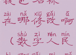 数字人民币钱包名称在哪修改啊(数字人民币更改密码)