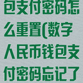 数字人民币钱包支付密码怎么重置(数字人民币钱包支付密码忘记了怎么办)