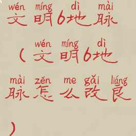 文明6地脉(文明6地脉怎么改良)