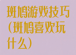 斑鸠游戏技巧(斑鸠喜欢玩什么)