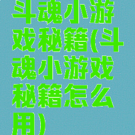 斗魂小游戏秘籍(斗魂小游戏秘籍怎么用)