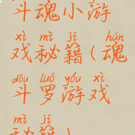 斗魂小游戏秘籍(魂斗罗游戏秘籍)