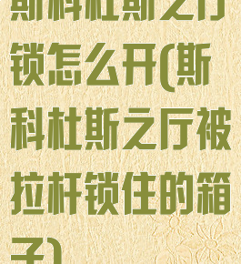 斯科杜斯之厅锁怎么开(斯科杜斯之厅被拉杆锁住的箱子)