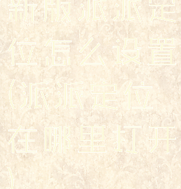 新版派派定位怎么设置(派派定位在哪里打开)