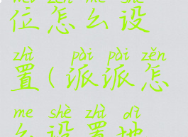 新版派派定位怎么设置(派派怎么设置地址)