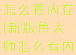 新版鲁大师怎么看内存(新版鲁大师怎么看内存多少)