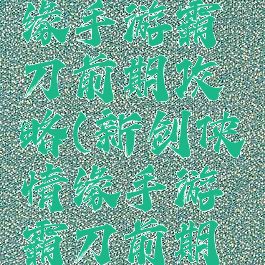 新剑侠情缘手游霸刀前期攻略(新剑侠情缘手游霸刀前期攻略图)