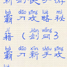 新剑侠手游霸刀攻略秘籍(剑网3霸刀新手攻略)